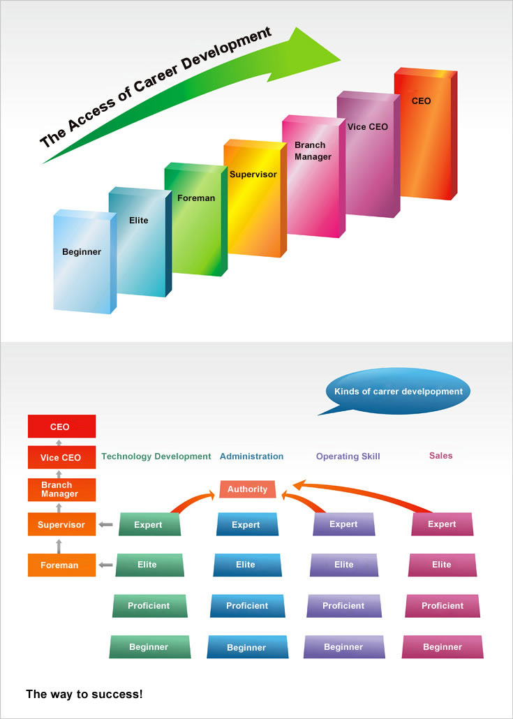 Career Path